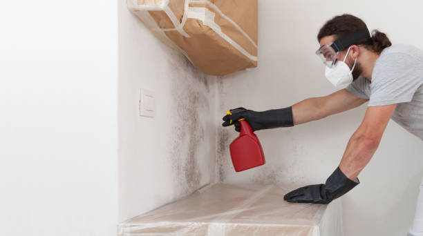 Professional Mold Remediation technician working in Carle Place, NY